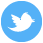 Share to Twitter